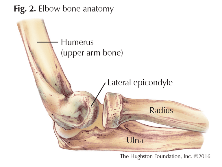 epicondyle of bone